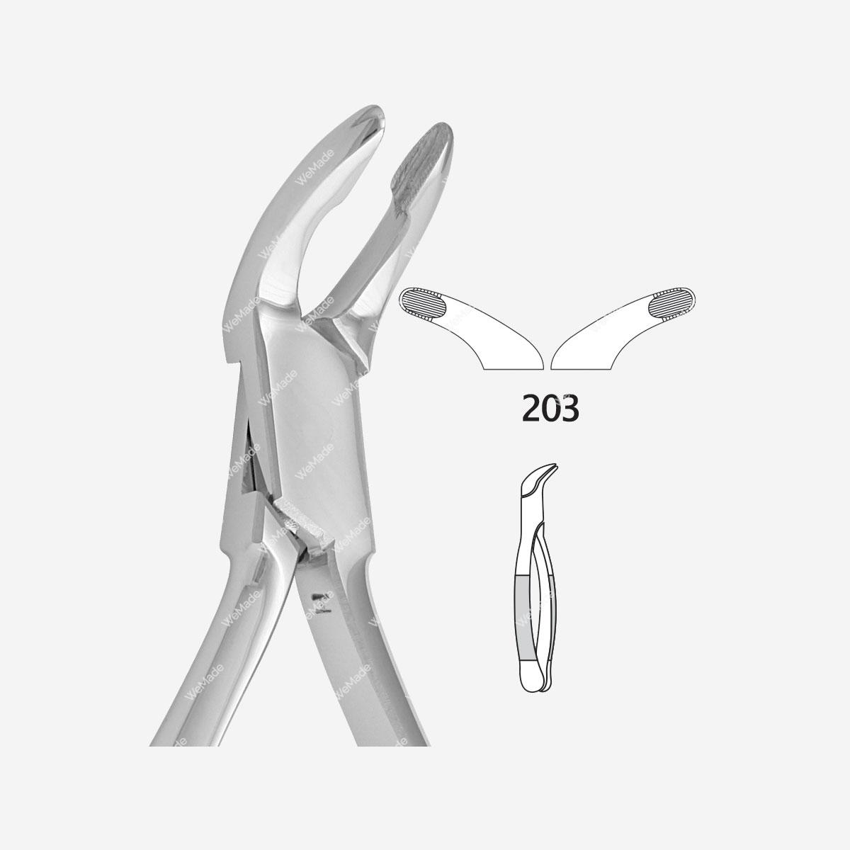 Incisors Definition Shape Function Kenhub vrogue.co