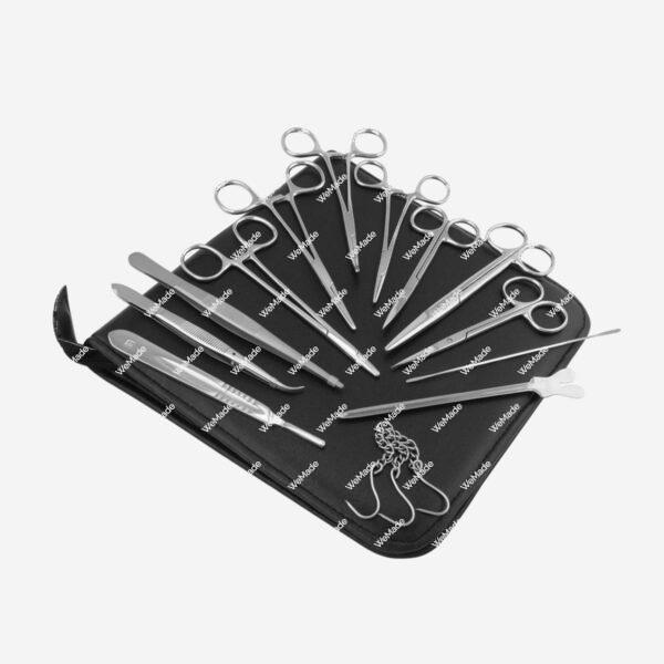 29-001 Dissecting with 13 instuments